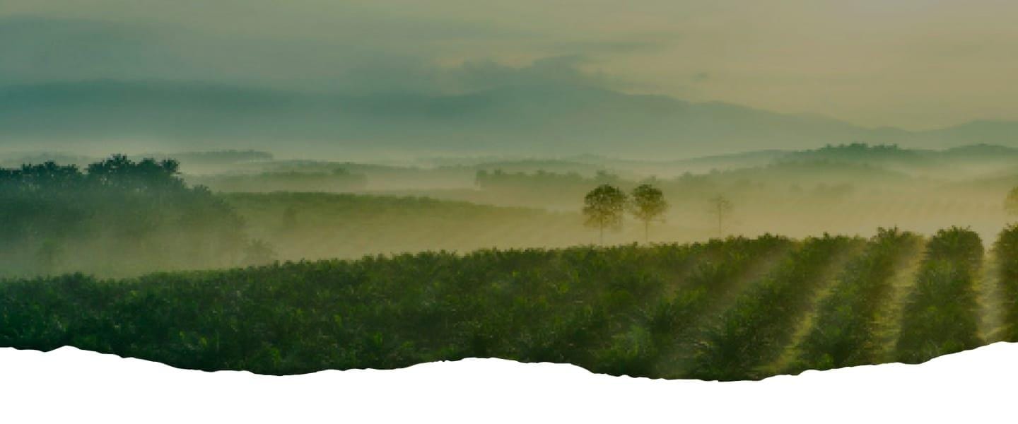 Banner sustainability desktop